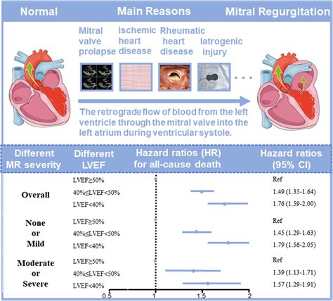 what is lvef in cardiology